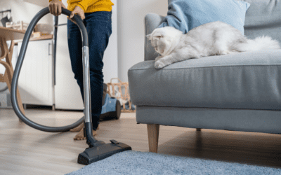 HAIR EVERYWHERE! TIPS FOR KEEPING YOUR HOME CLEAN WITH PETS