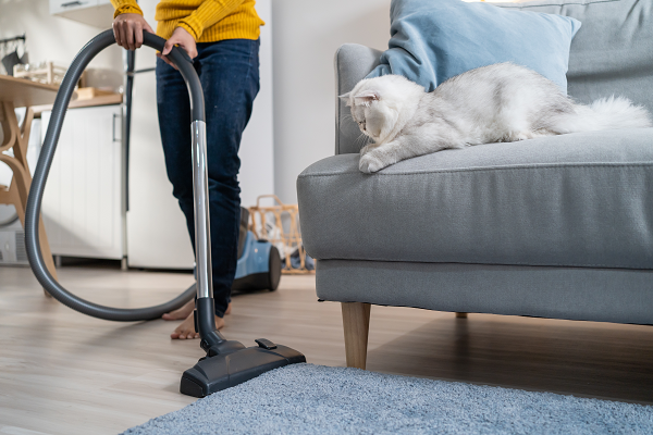 woman cleaning house with cat sitting on the couch