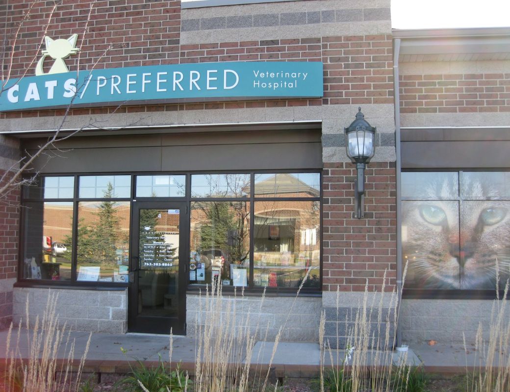 About Cats Preferred Veterinary Hospital Vet In Plymouth, MN 55447