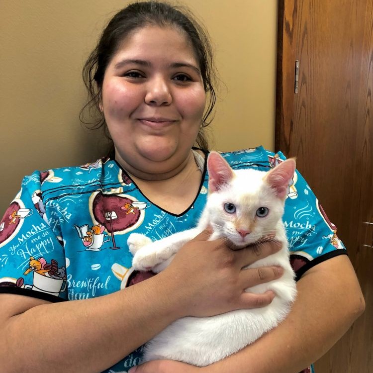 team member holding a cat